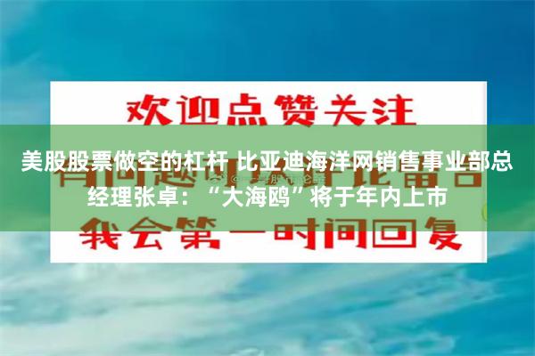 美股股票做空的杠杆 比亚迪海洋网销售事业部总经理张卓：“大海鸥”将于年内上市