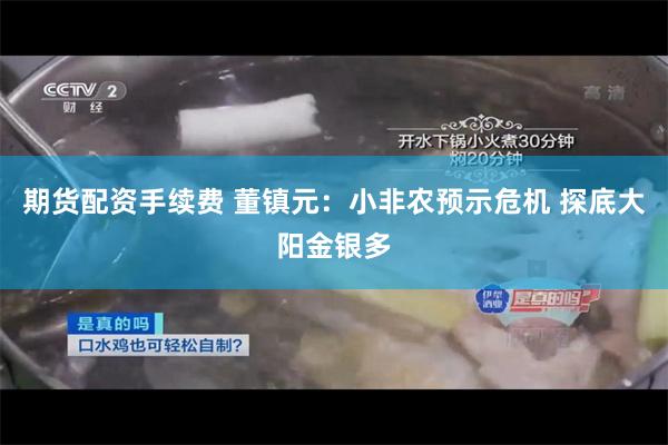 期货配资手续费 董镇元：小非农预示危机 探底大阳金银多