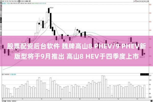 股票配资后台软件 魏牌高山8 PHEV/9 PHEV新版型将于9月推出 高山8 HEV于四季度上市