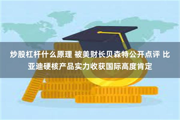 炒股杠杆什么原理 被美财长贝森特公开点评 比亚迪硬核产品实力收获国际高度肯定