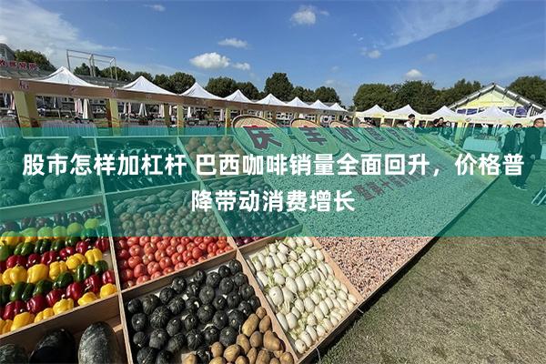股市怎样加杠杆 巴西咖啡销量全面回升，价格普降带动消费增长
