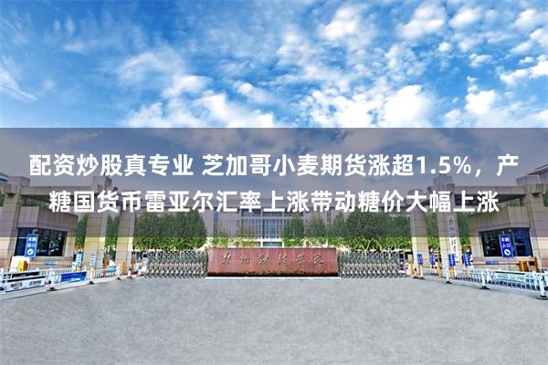配资炒股真专业 芝加哥小麦期货涨超1.5%，产糖国货币雷亚尔汇率上涨带动糖价大幅上涨